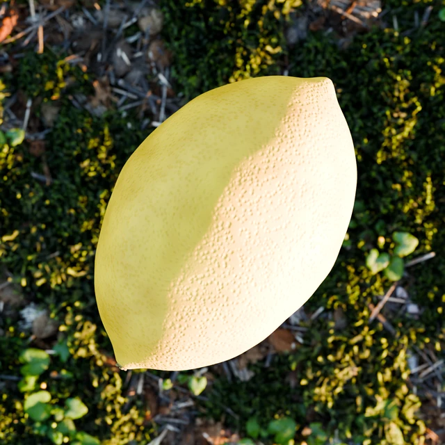 Included whole lemon with textured yellow peel