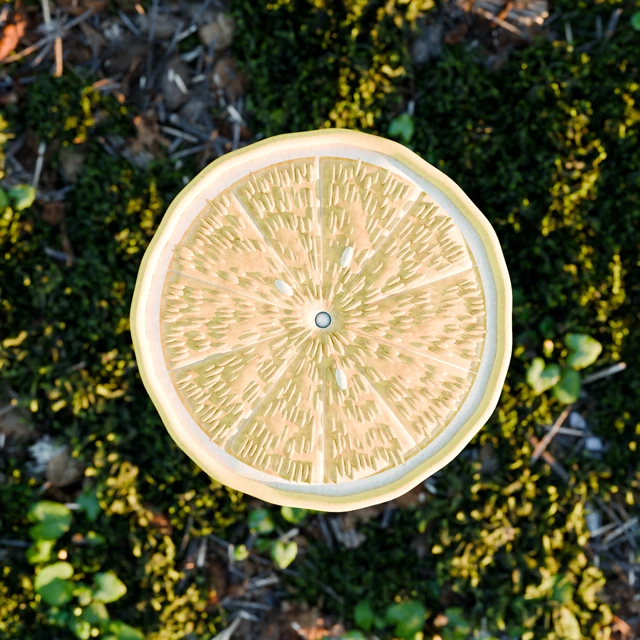 Included citrus slice with rind and segmented flesh