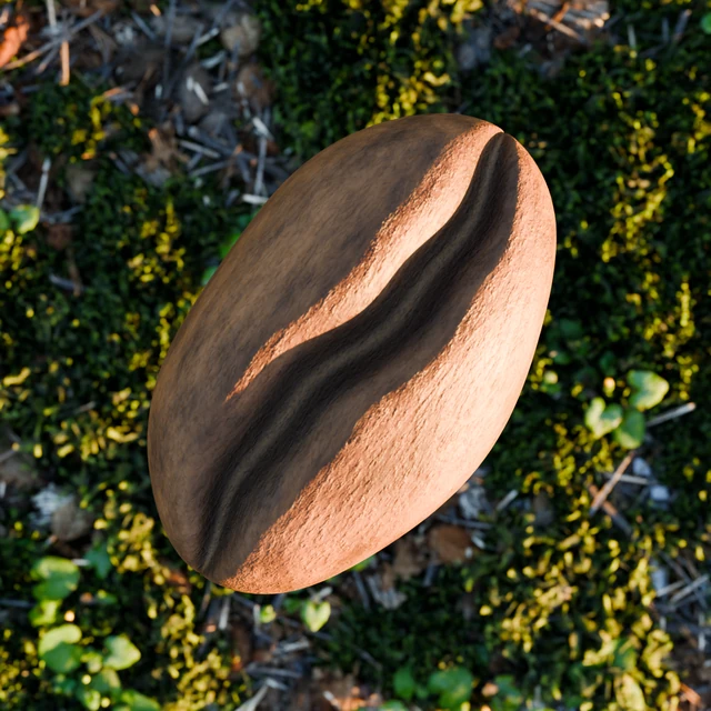 Included coffee bean with packed roasted-surface color, roughness and normal textures