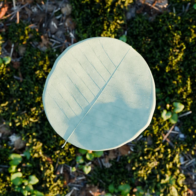 Included eucalyptus leaf with waxy sage pigment, fine veins and packed surface textures