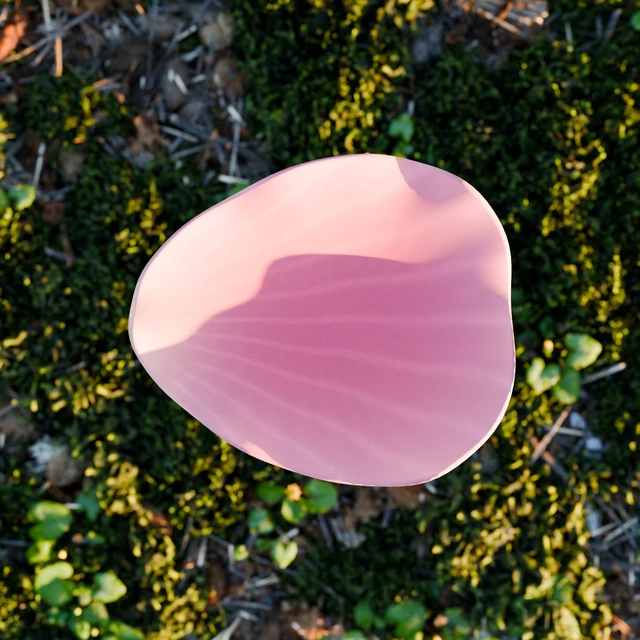 Included curved pink rose petal